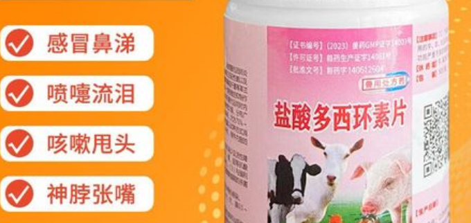 寵貝蒂的制造商與上海育路的關系解析